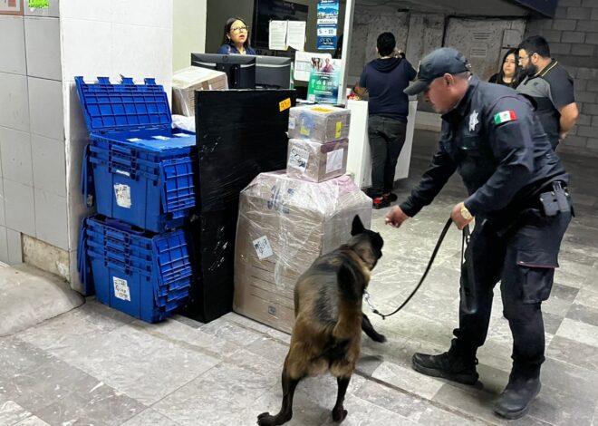 Realiza Agrupamiento Canino de la Guardia Estatal operativo para detectar narcóticos en Central de Autobuses