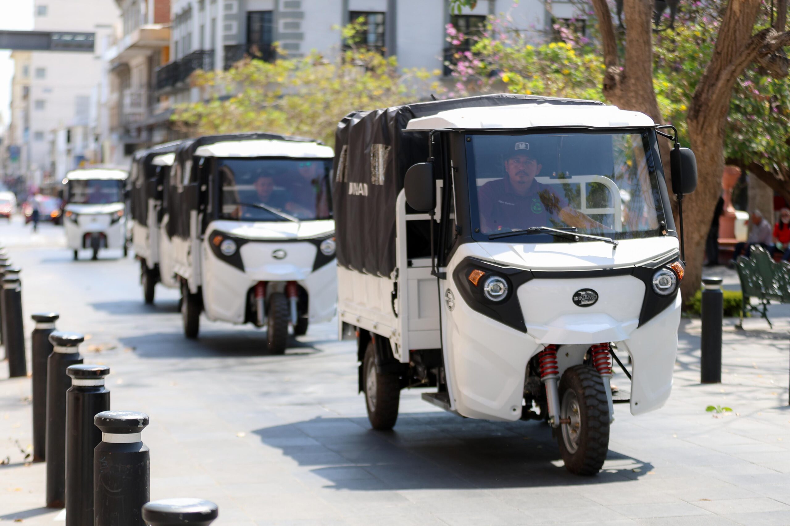 Impulsa Mónica Villarreal bienestar animal con intercambio de equinos por motos de carga en Tampico