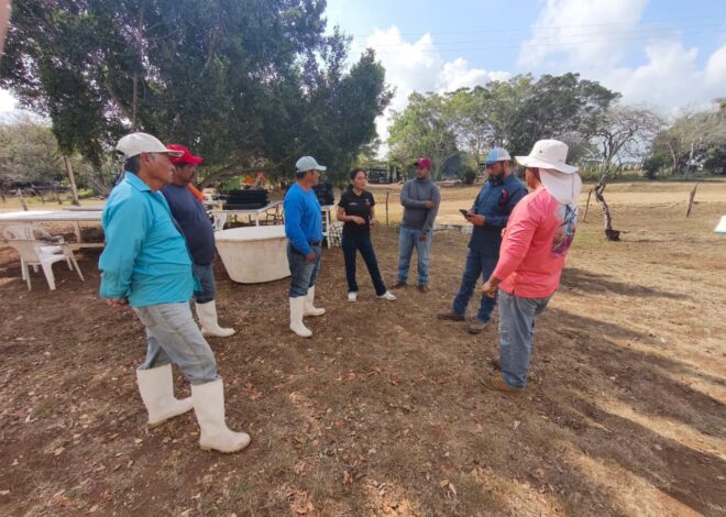 Impulsan desarrollo de granjas de ostión en Aldama y San Fernando