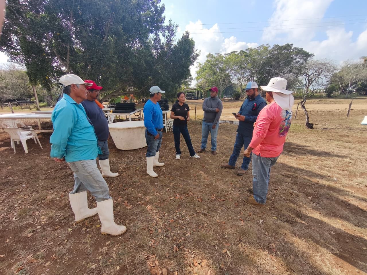Impulsan desarrollo de granjas de ostión en Aldama y San Fernando