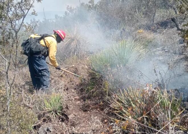 Tamaulipas logra la liquidación total del incendio forestal en Bustamante