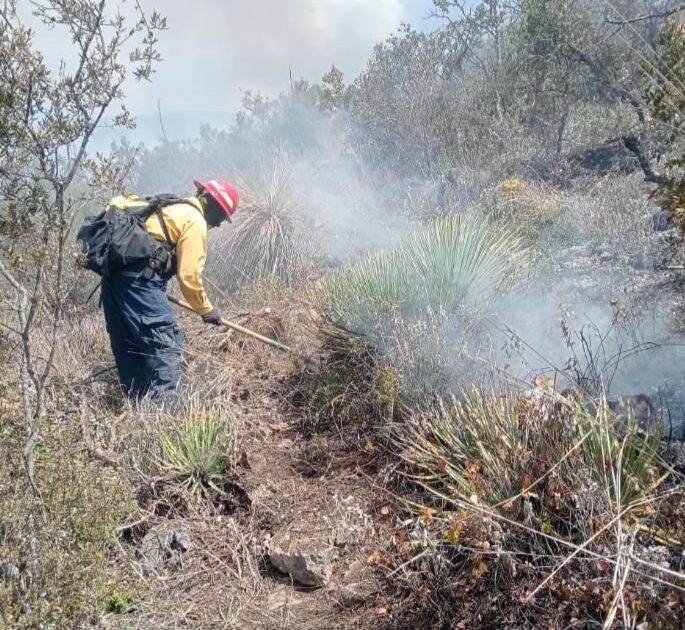 Tamaulipas logra la liquidación total del incendio forestal en Bustamante