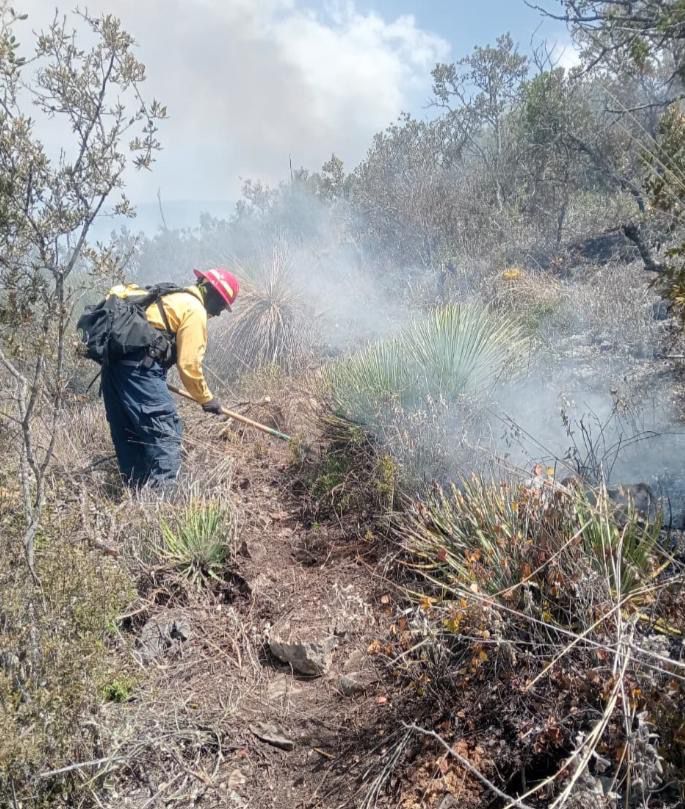 Tamaulipas logra la liquidación total del incendio forestal en Bustamante