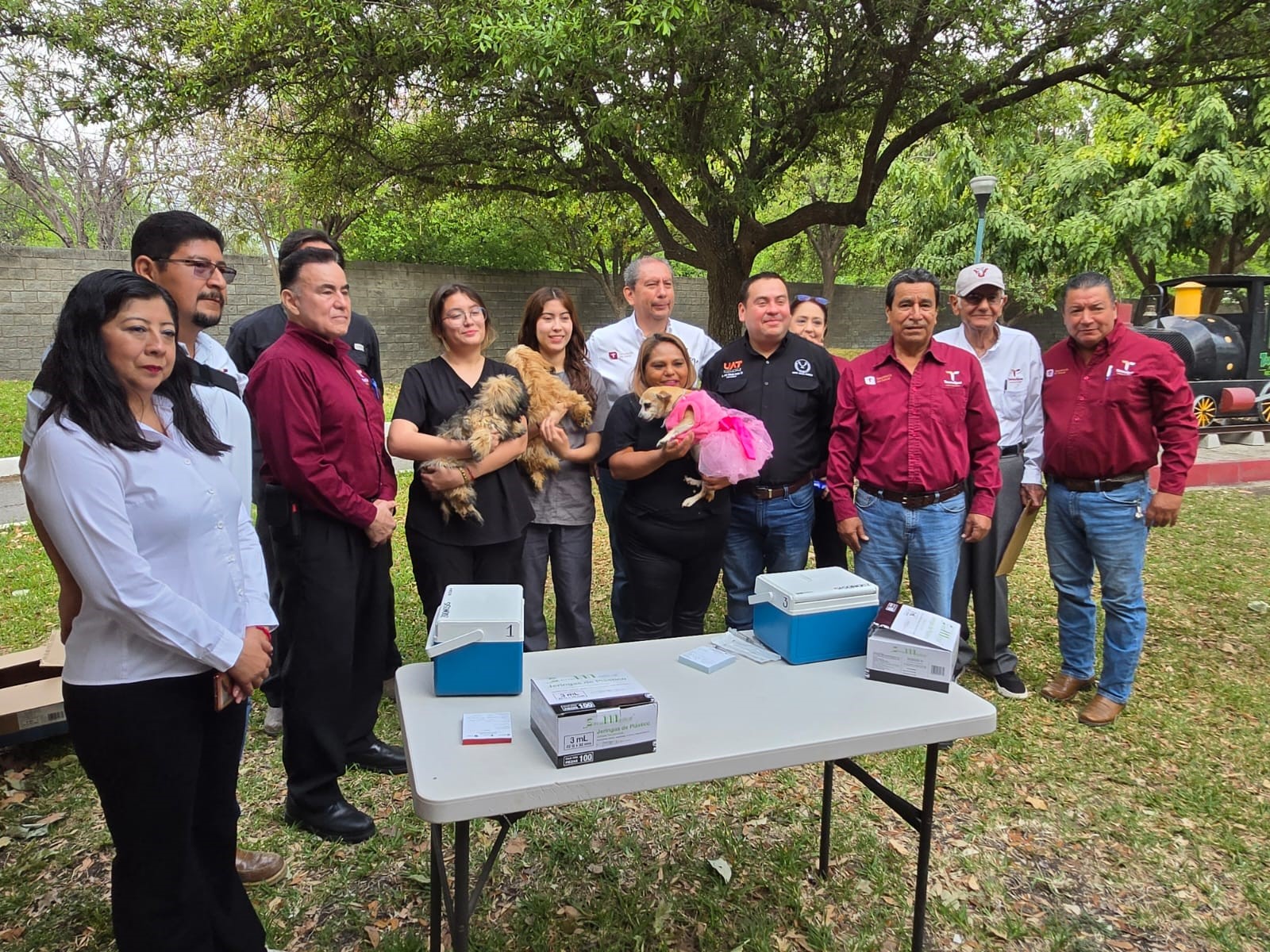 Aplicará Salud 345 mil dosis en campaña de vacunación antirrábica