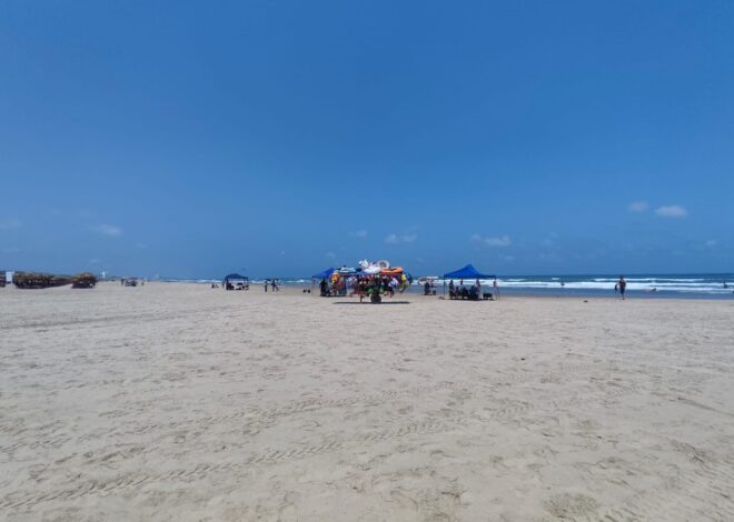 Fortalece Tamaulipas vigilancia ambiental ante presencia de hidrocarburos en costas de la zona sur