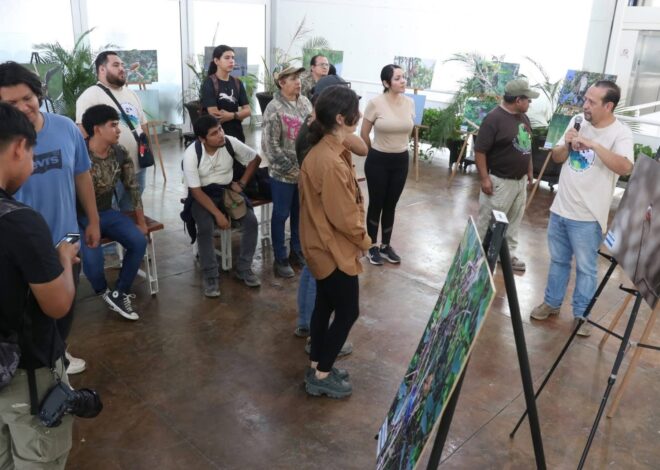 Reúne TAMUX a familias y estudiantes en experiencia de avistamiento de aves