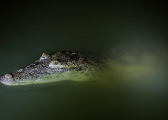 Ofrece Tampico nuevas experiencias turísticas a través de diez rutas temáticas