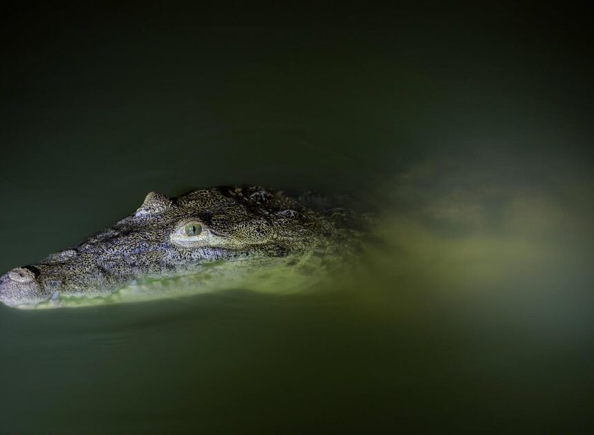 Ofrece Tampico nuevas experiencias turísticas a través de diez rutas temáticas