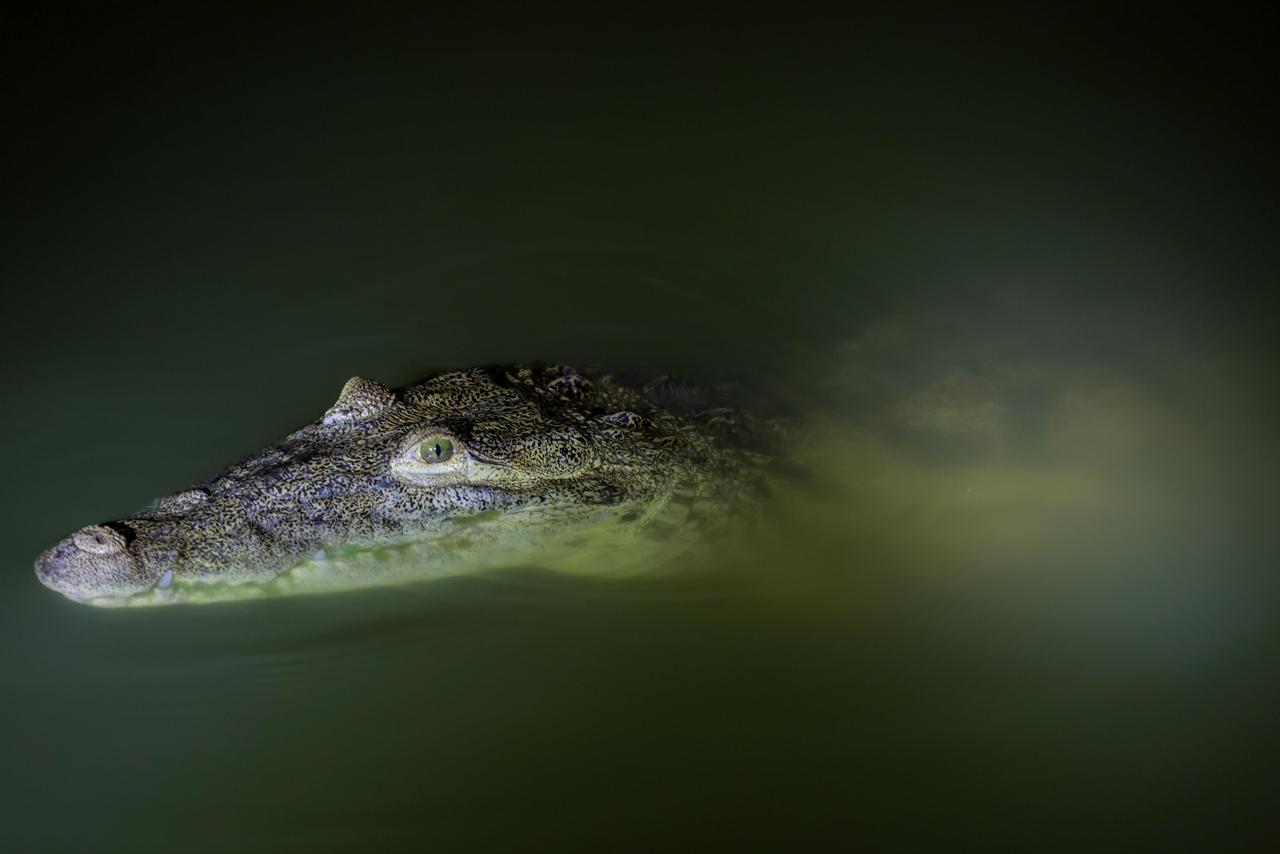 Ofrece Tampico nuevas experiencias turísticas a través de diez rutas temáticas