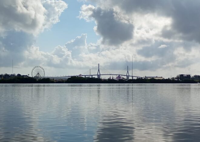 Con proyecto Génesis se busca dejar de contaminar la laguna del Carpintero: Raúl Quiroga Álvarez