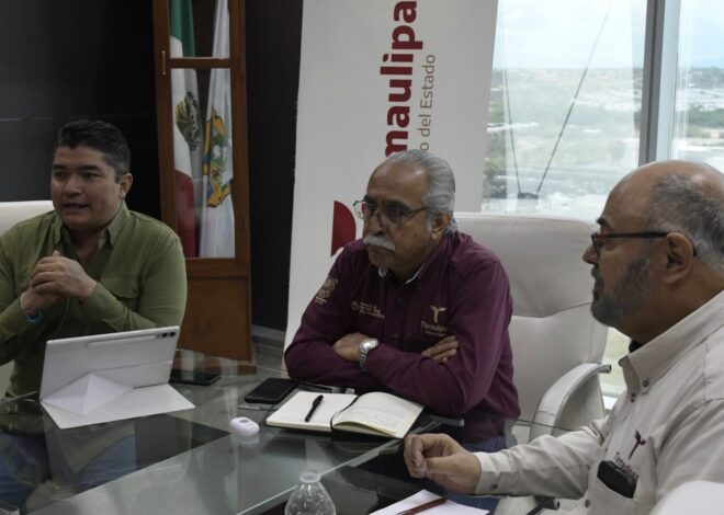 Estructura Tamaulipas proyecto para elevar la producción de carne de calidad