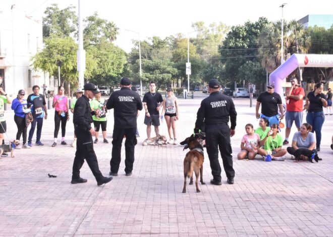Con más de tres mil acciones operativas y de proximidad, el Agrupamiento Canino de la Guardia Estatal fortalece la prevención y combate al delito en Tamaulipas