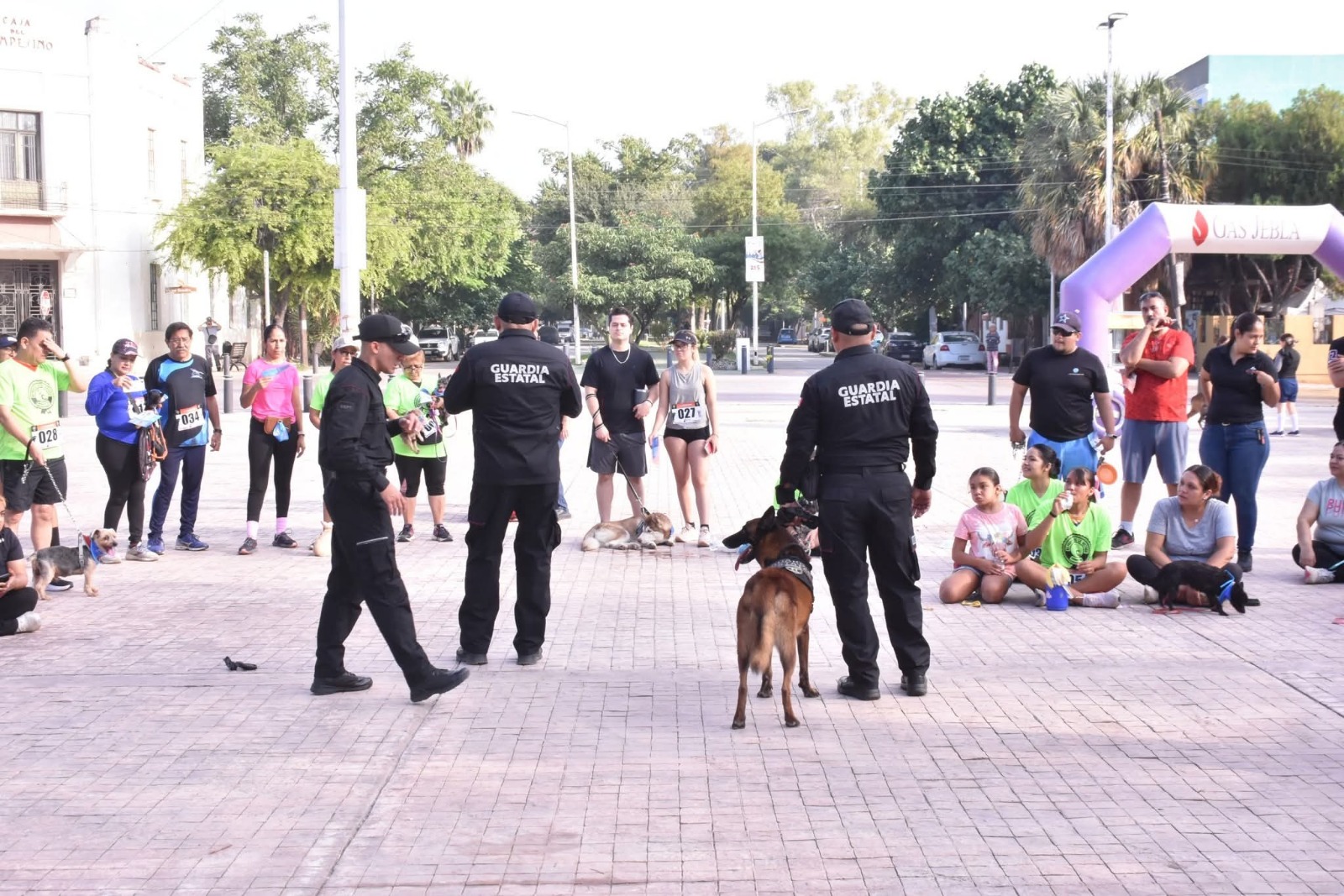 Con más de tres mil acciones operativas y de proximidad, el Agrupamiento Canino de la Guardia Estatal fortalece la prevención y combate al delito en Tamaulipas