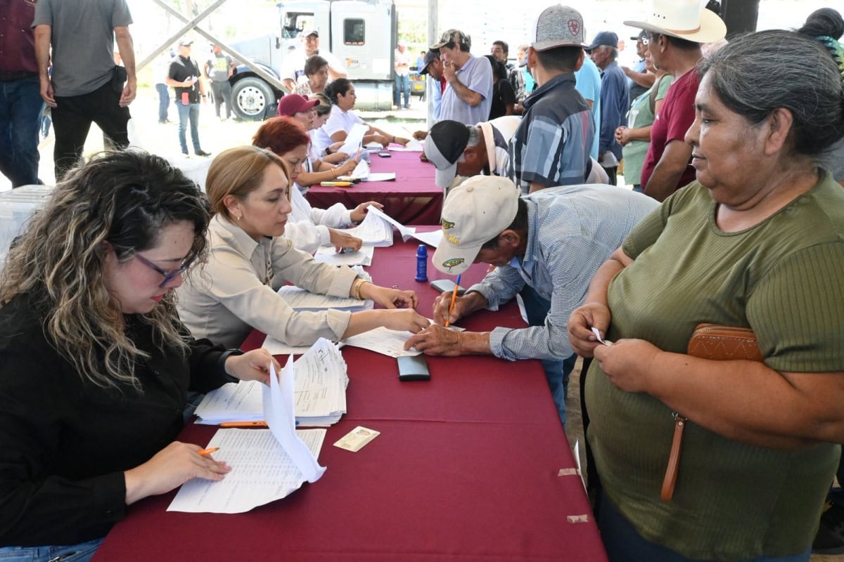 Impulsan productividad citrícola con apertura del Programa S107 2026
