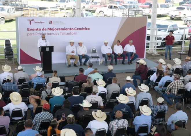 Dan impulso a la ganadería con sementales de alto valor genético