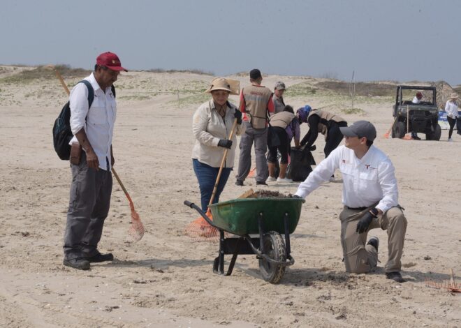 Suma Tamaulipas esfuerzos con la Federación para conservar playas y costas