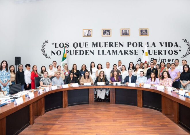 Participa Tamaulipas en la Trigésima Primera Sesión Ordinaria de la Comisión de Secretarías Ejecutivas de Protección Integral (COMSE)
