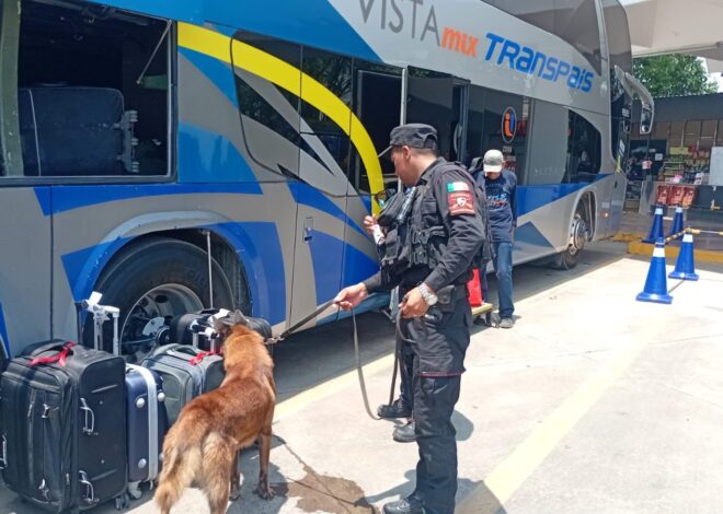 Fortalece Guardia Estatal vigilancia en central de autobuses