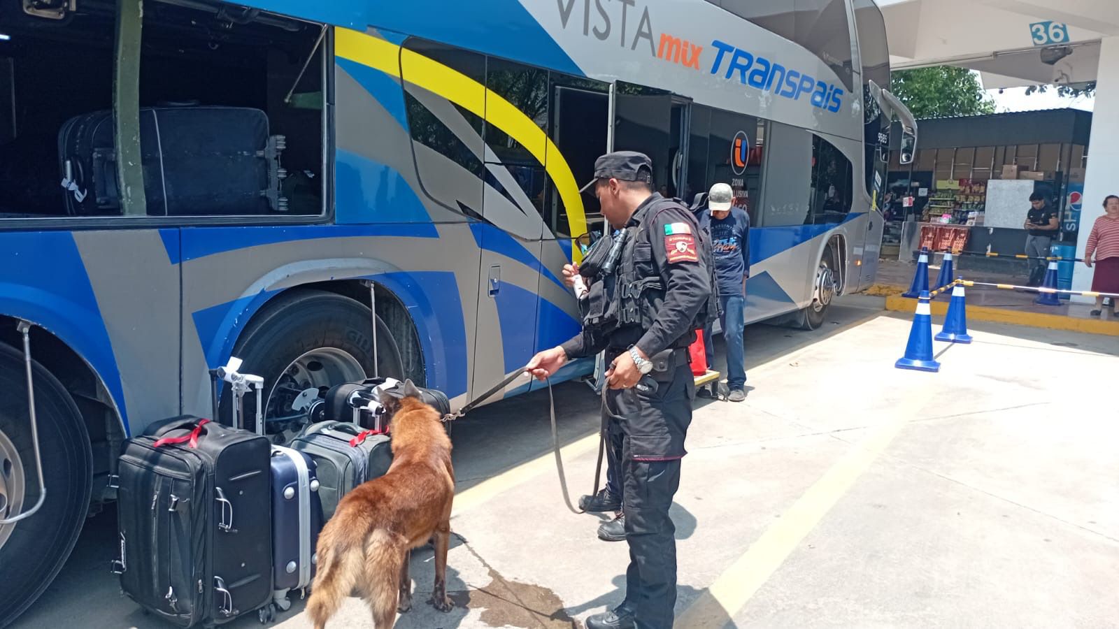Fortalece Guardia Estatal vigilancia en central de autobuses