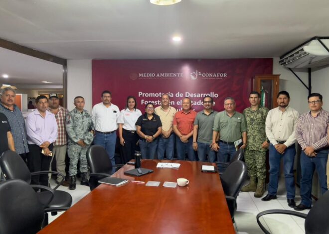 Refuerza Tamaulipas estrategia interinstitucional contra incendios forestales