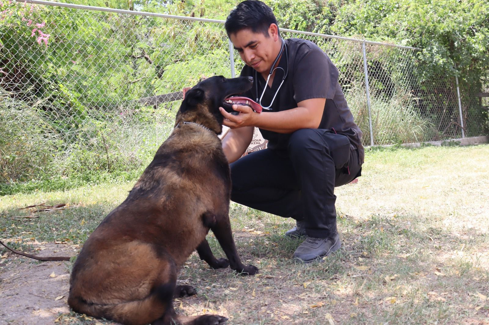 Redobla SSPT medidas de protección a elementos caninos de la Guardia Estatal ante altas temperaturas