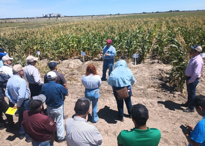 Promueven uso de residuos orgánicos para fortalecer la productividad agrícola