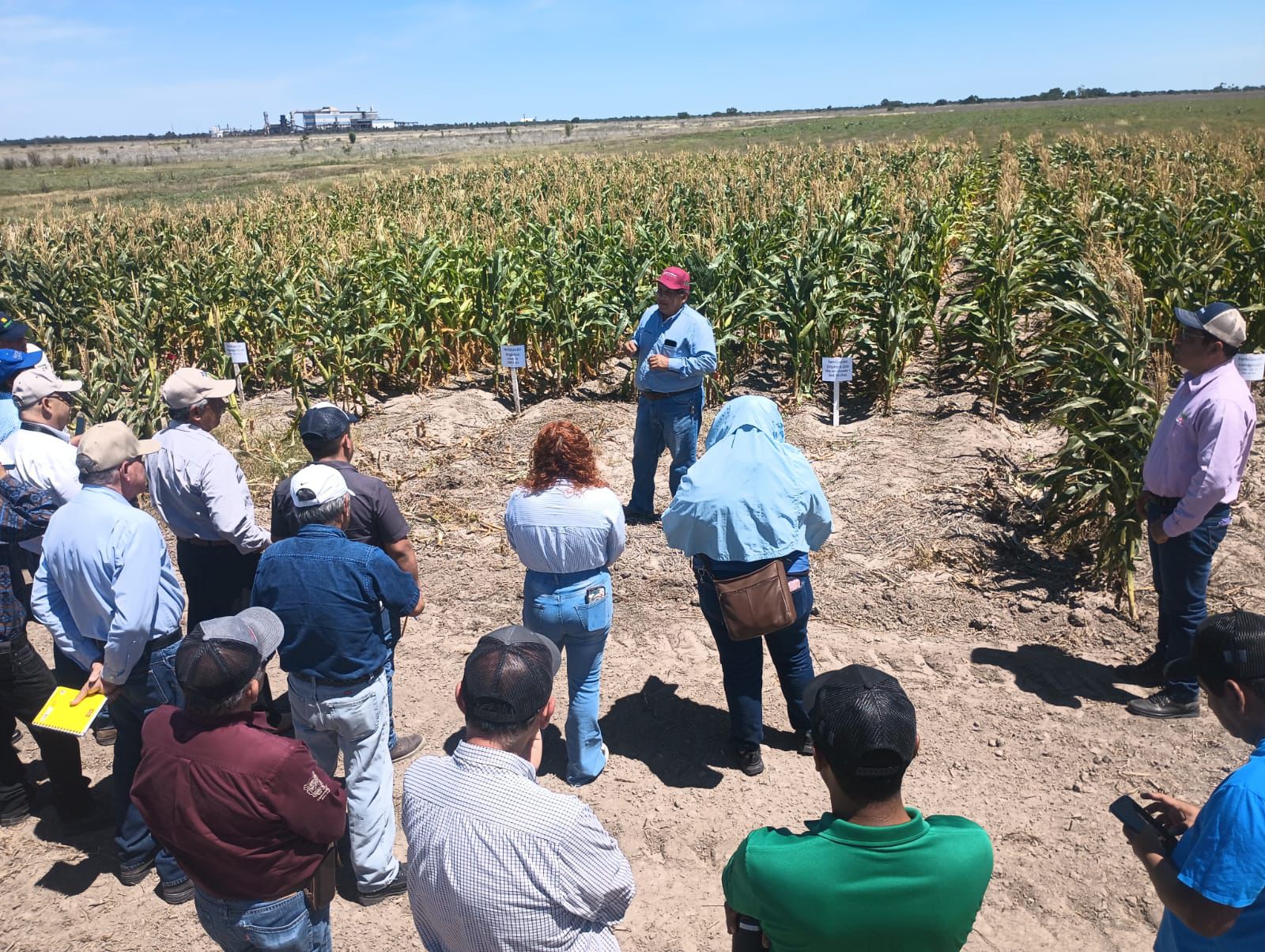 Promueven uso de residuos orgánicos para fortalecer la productividad agrícola