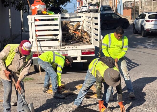 Avanza Tampico en la rehabilitación vial con el programa “VAcheando”
