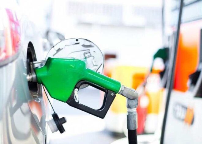 SEDENER y Eservices alistan nuevo webinar para el sector gasolinero