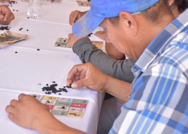 Con la Lotería Tamaulipeca un premio tras otro: Sectur