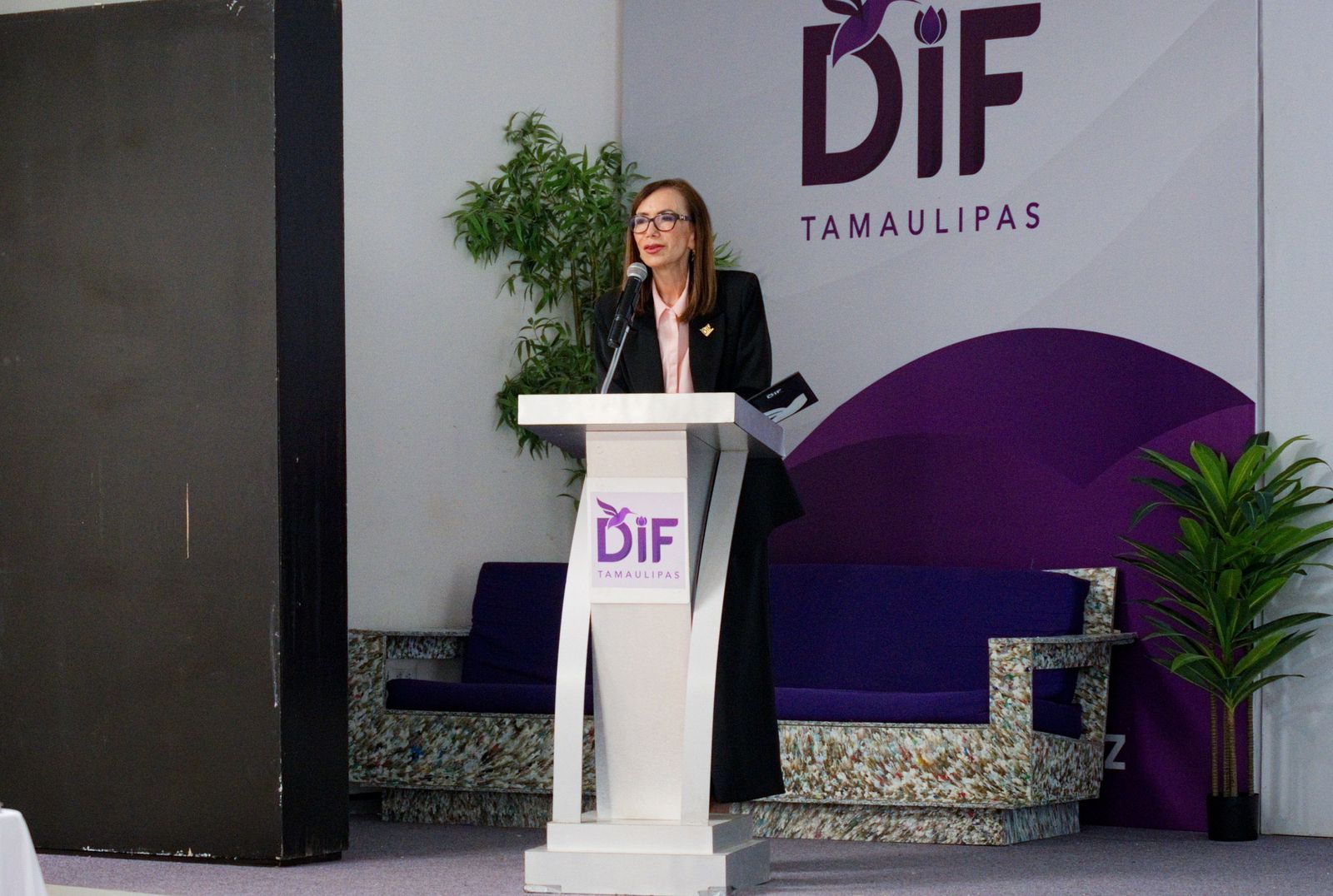 Capacita DIF Tamaulipas a promotores del Programa Salud y Bienestar Comunitario 2026