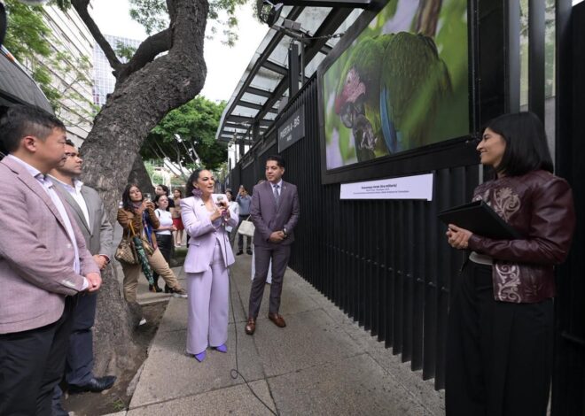 Olga Sosa lleva exposición fotográfica “Tamaulipas, orgullo que se lleva en el corazón” al Senado de la República.