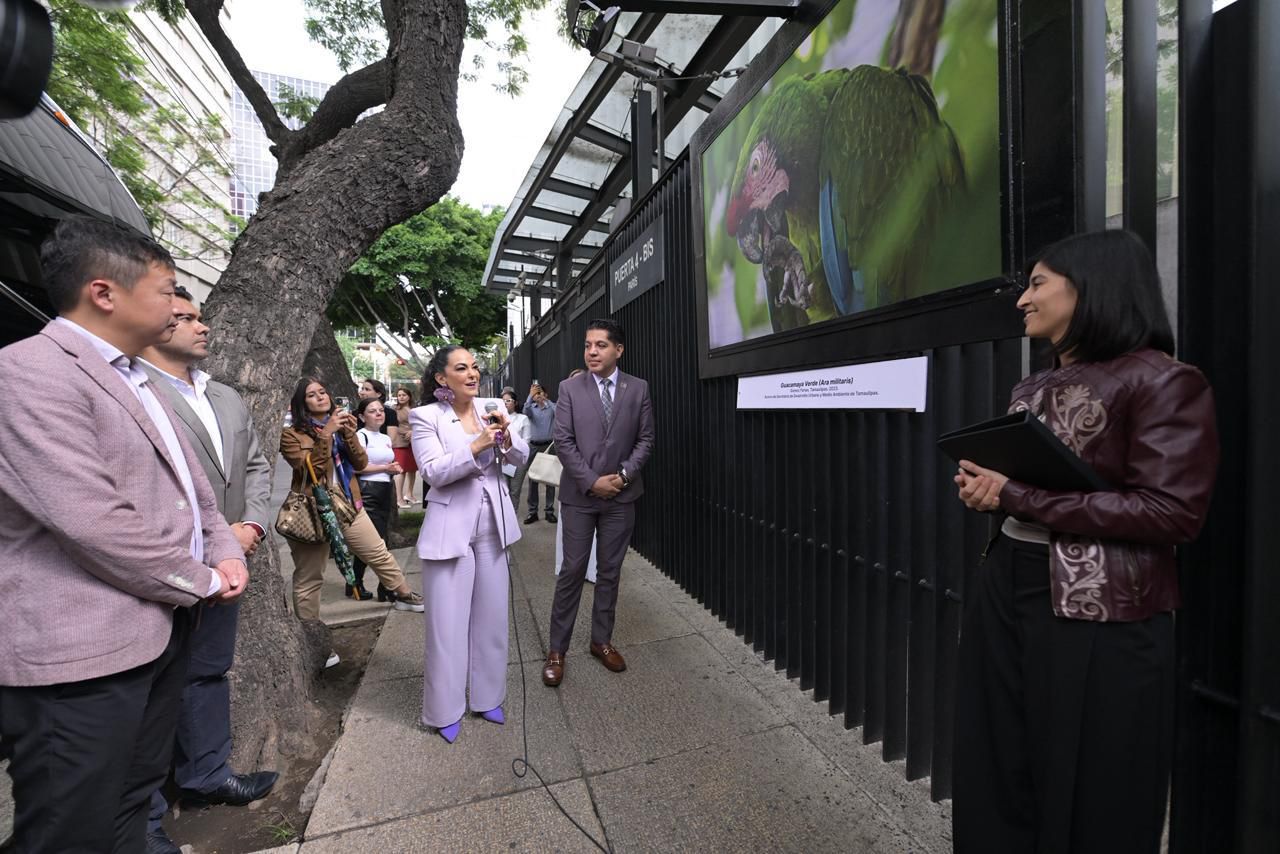 Olga Sosa lleva exposición fotográfica “Tamaulipas, orgullo que se lleva en el corazón” al Senado de la República.