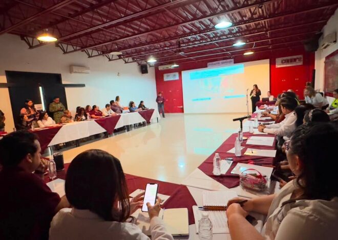 Reafirma SIPINNA Tamaulipas compromiso con la primera infancia durante Quinta Sesión