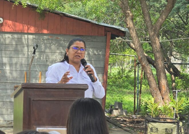 Conmemoran Día Mundial del Medio Ambiente con jornadas de reforestación