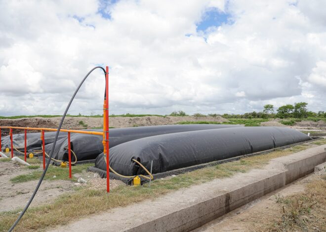 Exploran oportunidades para la producción de bioenergía en González