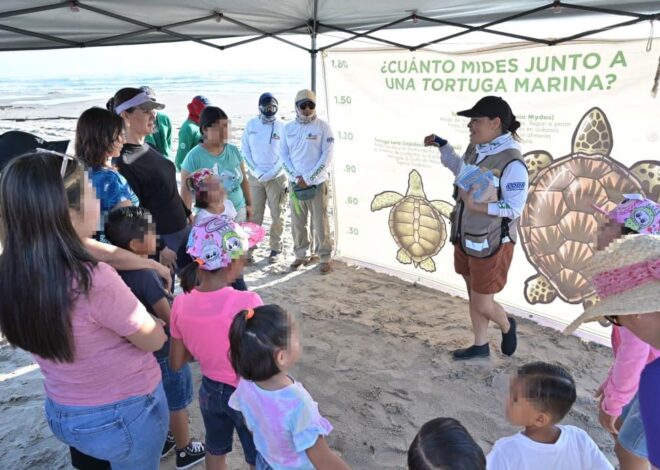 Viven menores de Casa Hogar y CASAN de DIF Tampico Emocionante Experiencia con Liberación de Tortugas en Playa Miramar
