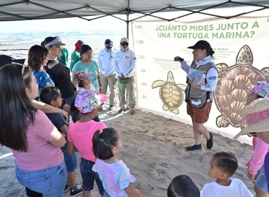 Viven menores de Casa Hogar y CASAN de DIF Tampico Emocionante Experiencia con Liberación de Tortugas en Playa Miramar