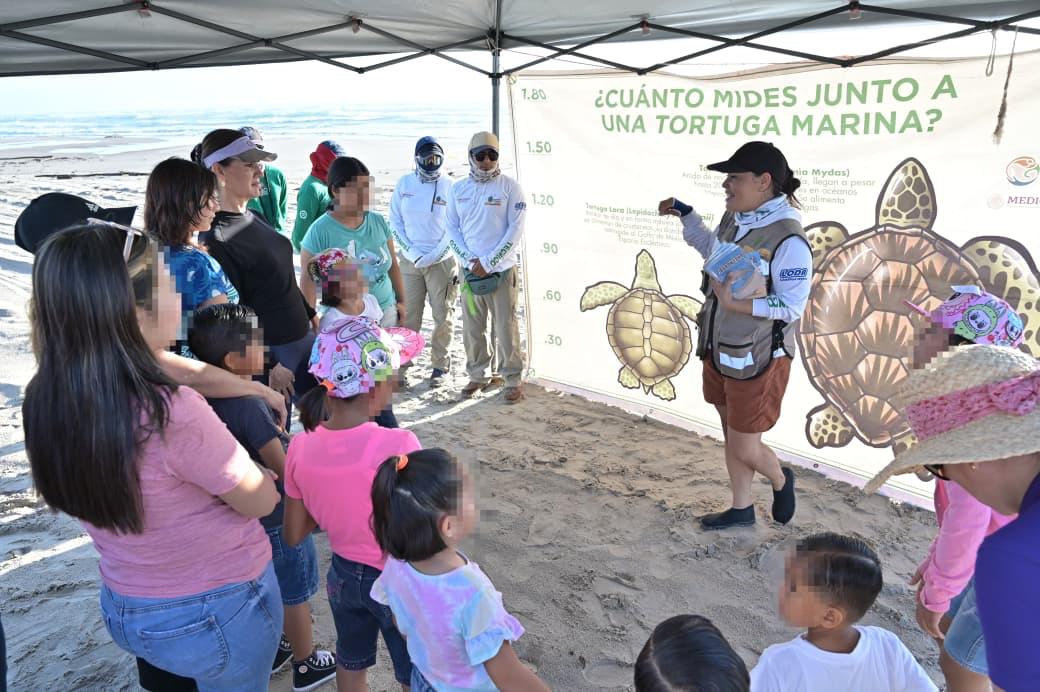 Viven menores de Casa Hogar y CASAN de DIF Tampico Emocionante Experiencia con Liberación de Tortugas en Playa Miramar
