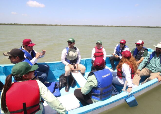 Consolida SEDUMA alianza social para preservar ecosistemas costeros