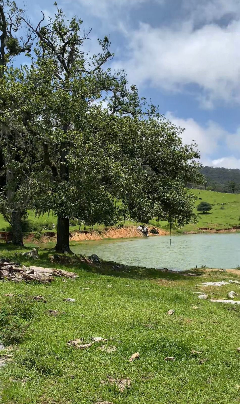 Impulsan el desarrollo de la Cooperativa Ecoturística Puerto Paraíso: Sectur