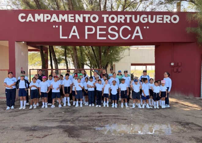 Fortalece Tamaulipas educación ambiental mediante liberación de crías de tortuga lora