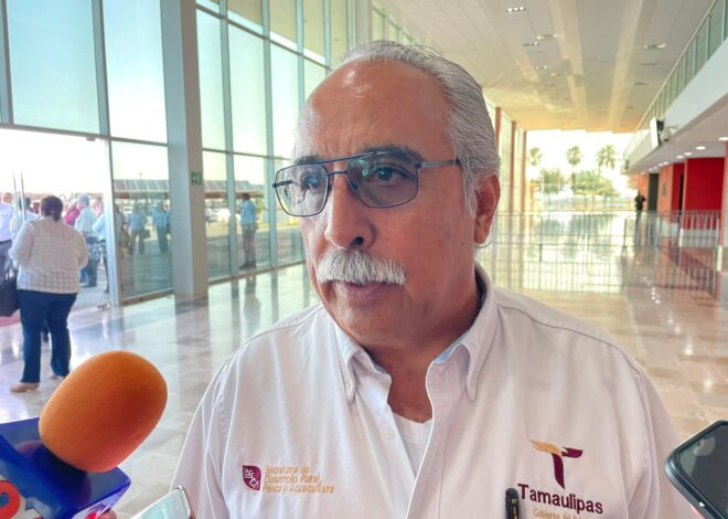 Registra Tamaulipas disminución de casos de gusano barrenador