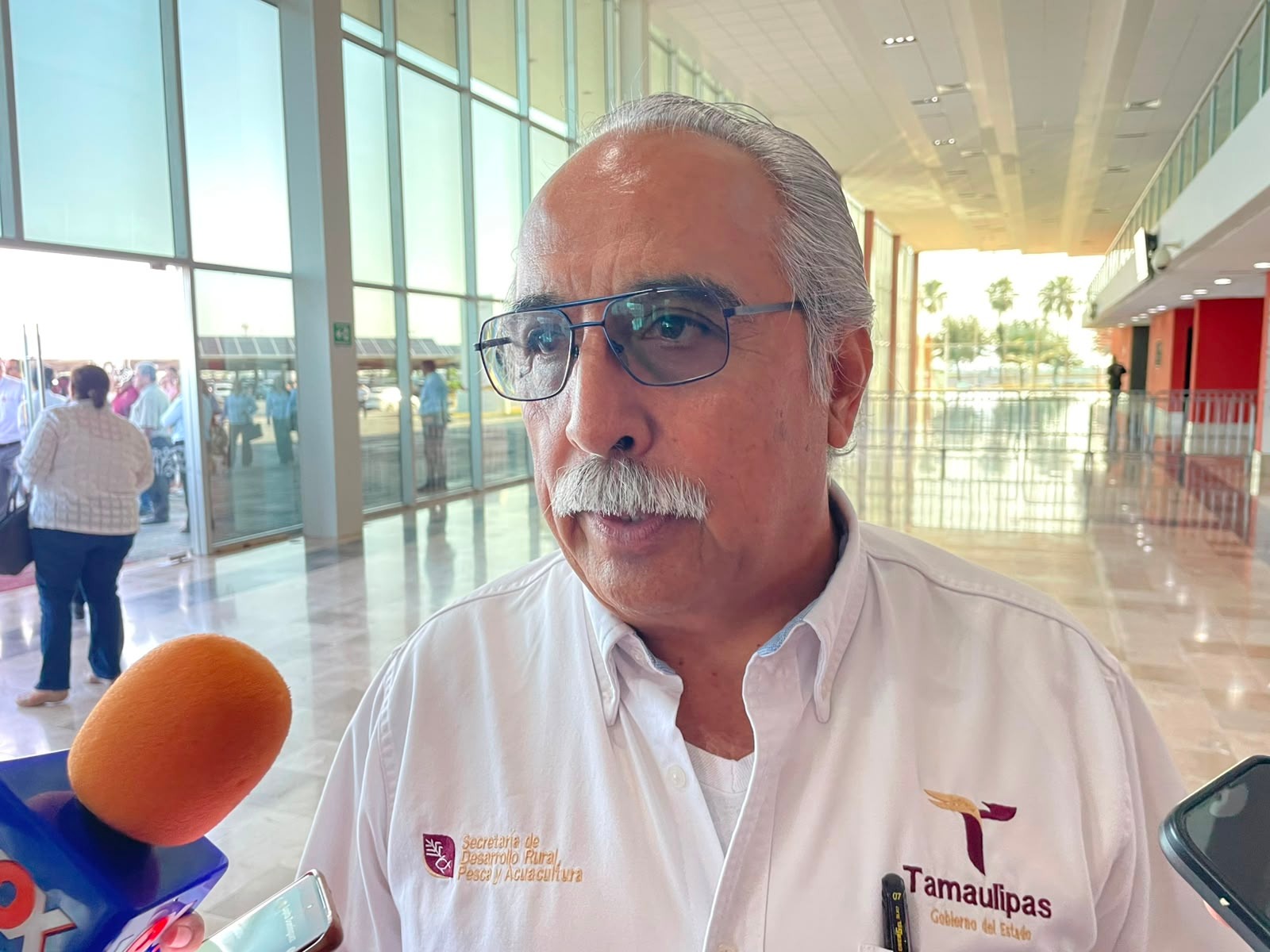 Registra Tamaulipas disminución de casos de gusano barrenador