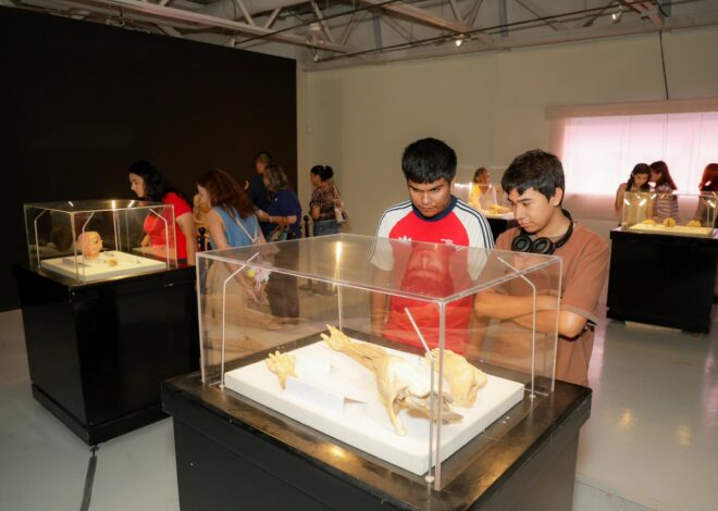 Mónica Villarreal amplía la oferta turística de Tampico con la Exposición ‘Bodies’