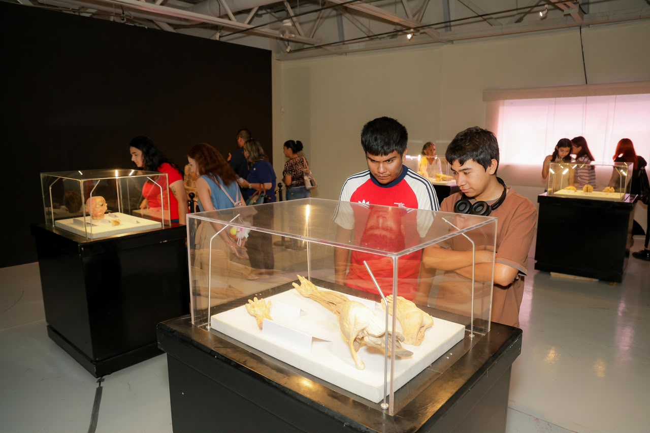 Mónica Villarreal amplía la oferta turística de Tampico con la Exposición ‘Bodies’