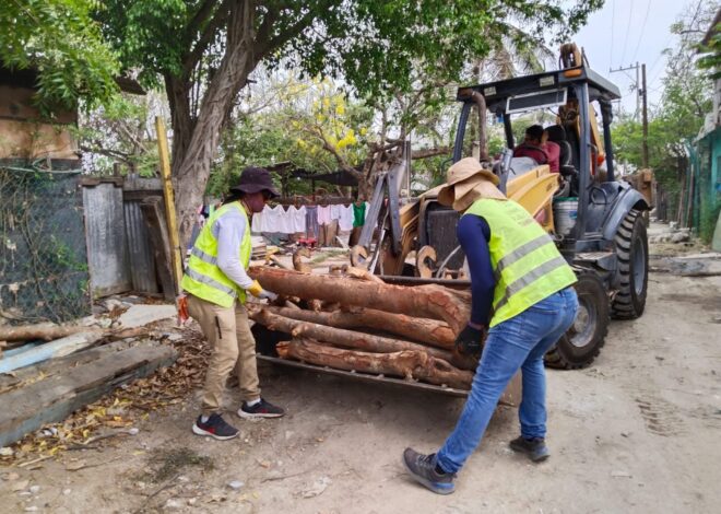 Consolida Mónica Villarreal estrategia de limpieza y prevención con 284 jornadas en las colonias